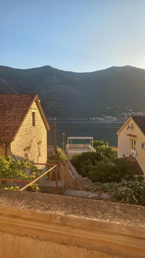 Apartments Vukasovic Kotor Bagian luar foto