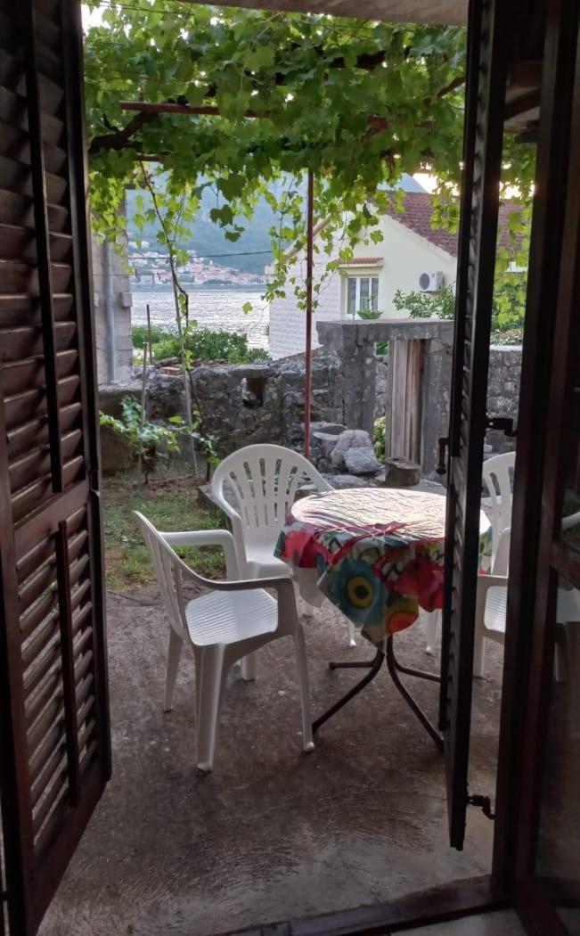 Apartments Vukasovic Kotor Bagian luar foto