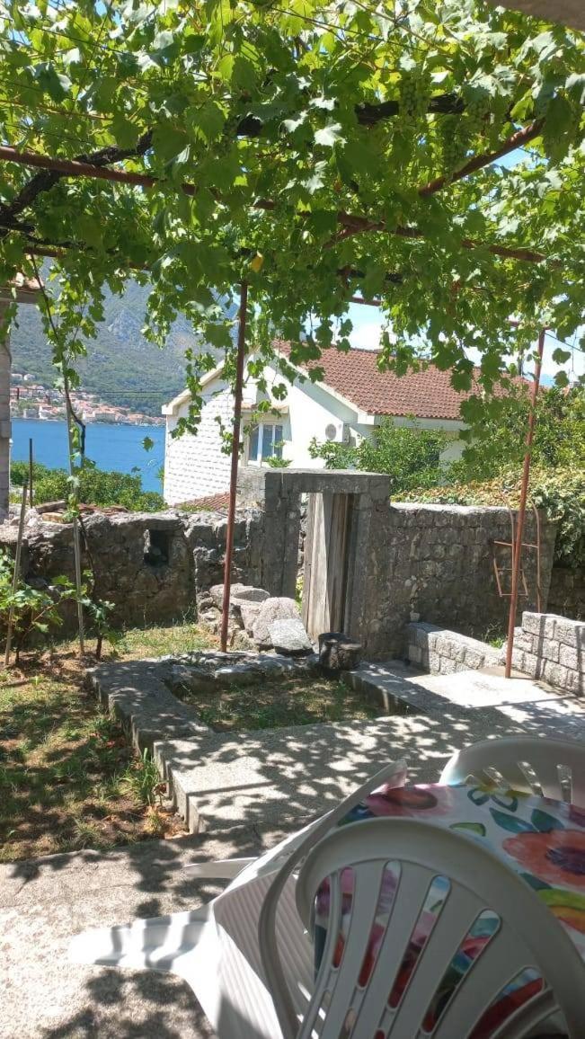 Apartments Vukasovic Kotor Bagian luar foto